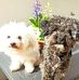 Carla Visser - Facebook