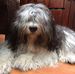 Carla Visser - Facebook