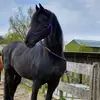 carlavisser822 - @carlavisser822 - TikTok