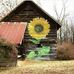 Carla Wallace - Facebook
