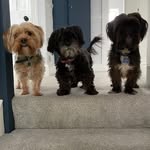 Carla Watts - @miss.wattsy75 - Instagram