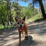 Carla Webb - @pacomonaco - Instagram