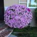 Carleen Ryan - Facebook