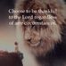 Carlene Bailey - Facebook