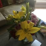 Carlene Reaves Bailey - Facebook