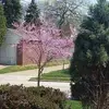 carlenebailey147 - @carlenebailey147 - TikTok