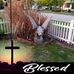 Carlene Holcomb - Facebook