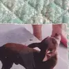 Carlene Holcomb - @carlene.holcomb0 - TikTok