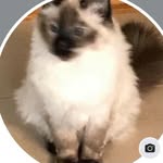 Carlene Hunter - @carlene.hunter.5 - Instagram