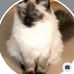 Carlene Hunter - Facebook