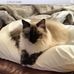 Carlene Hunter - Facebook
