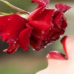 Carlene Hurst - @carlenehurst3 - Instagram