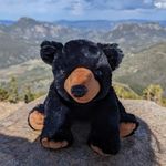 Carlene King-Mohr - @smileybubbles73 - Instagram