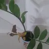 carlenelambertodasilva2 - @carlenelambertodasilva2 - TikTok