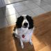 Carlene Long - Facebook
