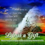Carlene Plummer - Facebook