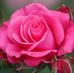 Carlene Robinson - Facebook