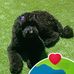 Carlene Simon - Facebook
