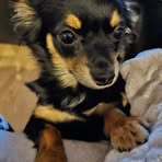 Carlene Sinclair - Facebook