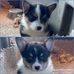 Carlene Stein - Facebook