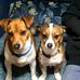 Carlene George Preitz Stone - Facebook