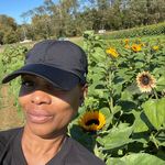Carlette Smith Mitter - @mizzcksunflower1 - Instagram