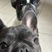 Carly Abbott - Facebook