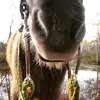 Carley Campbell - @carley_campbell_ - TikTok