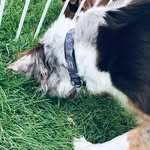 Carley Carr - @carley.carr.79 - Instagram