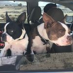 @casey_and_carley - Instagram