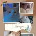 Carley Clarke - Facebook