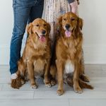 Cooper & Carley |Golden World - @cooper_carley_thegoldens - Instagram