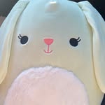 carley - @carleycrossing - Instagram