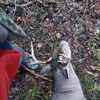 Kyleereederfp - @carleycrosseyy37 - TikTok