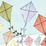 Carley Green - @lets_go_fly_a_kite - Instagram