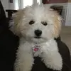 Carley - @carleygregory0315 - TikTok