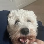 Carley Gregory - @carley_gregs - Instagram