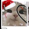 CarleyHaleyᖭ༏ᖫ - @hall200 - TikTok