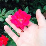 Carley - @_.carleyharris - Instagram
