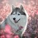 Karli Short - Facebook