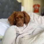 Carly Solomon - @carly_solomon - Instagram
