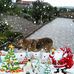 Carlo Altieri - Facebook