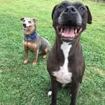 Carlo Andreoli Jr. - @andreolijr.carlo - Instagram