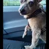 carloandreoni - @carloandreoni - TikTok