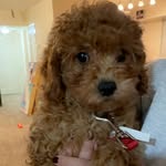 Carlo 🧸 - @carlo_anthony23 - Instagram