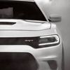 carlo.baker - @carlo.baker - TikTok
