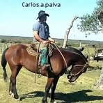 Carlos Paiva - Facebook