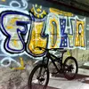 _carlo.leone_ - @_carlo.leone_ - TikTok