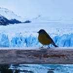 Carlos Lista - @carloslista2018 - Instagram
