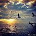 Carlo Lucci - Facebook